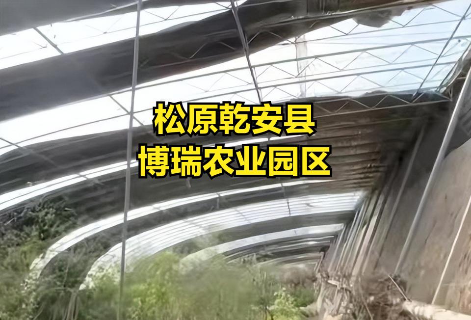 央视财政曝光3地4处，农业项目撂荒、诈骗！
1. 吉林松原市乾安县赞字乡敢字村：