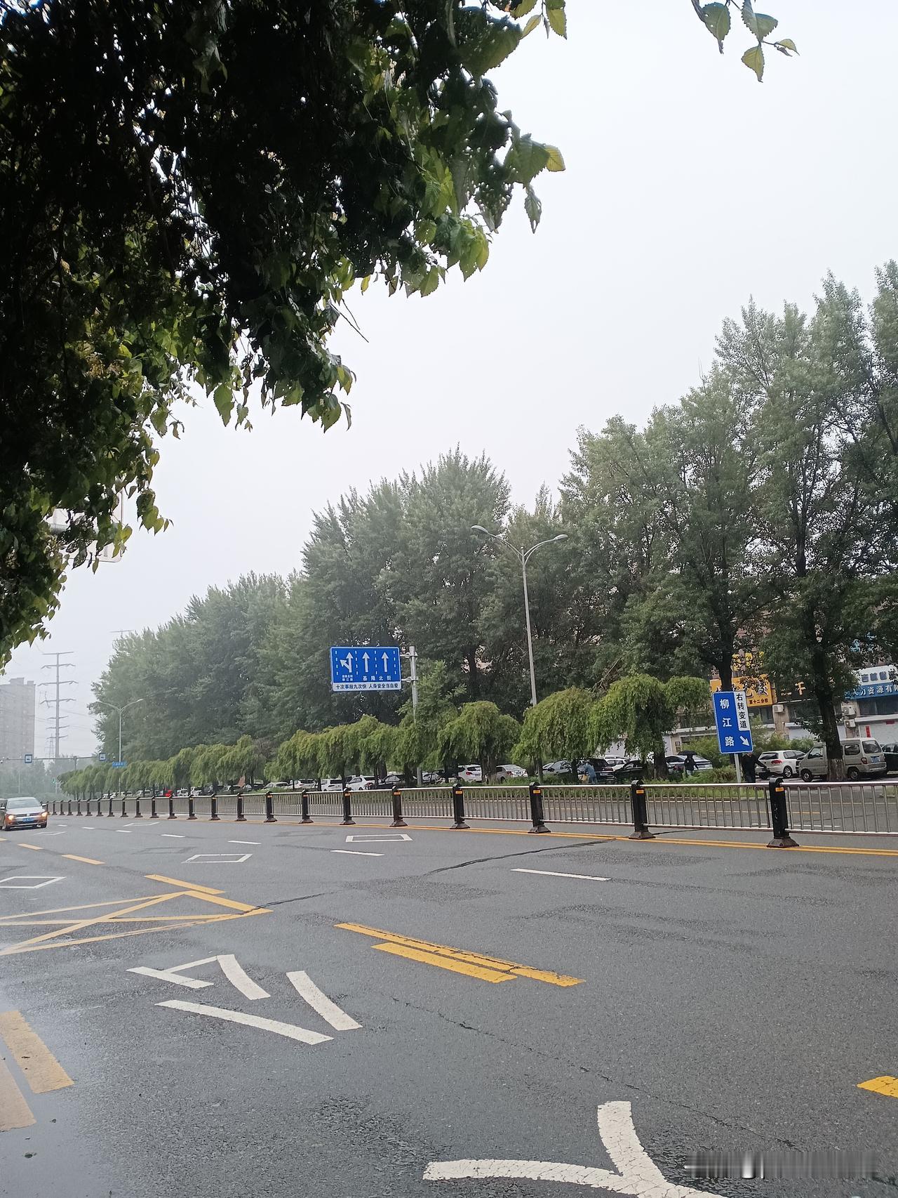 雨停天开
早上，还想去早市买黄柿子，大樱桃，一看下雨，作罢。
到点做饭，然后躺在