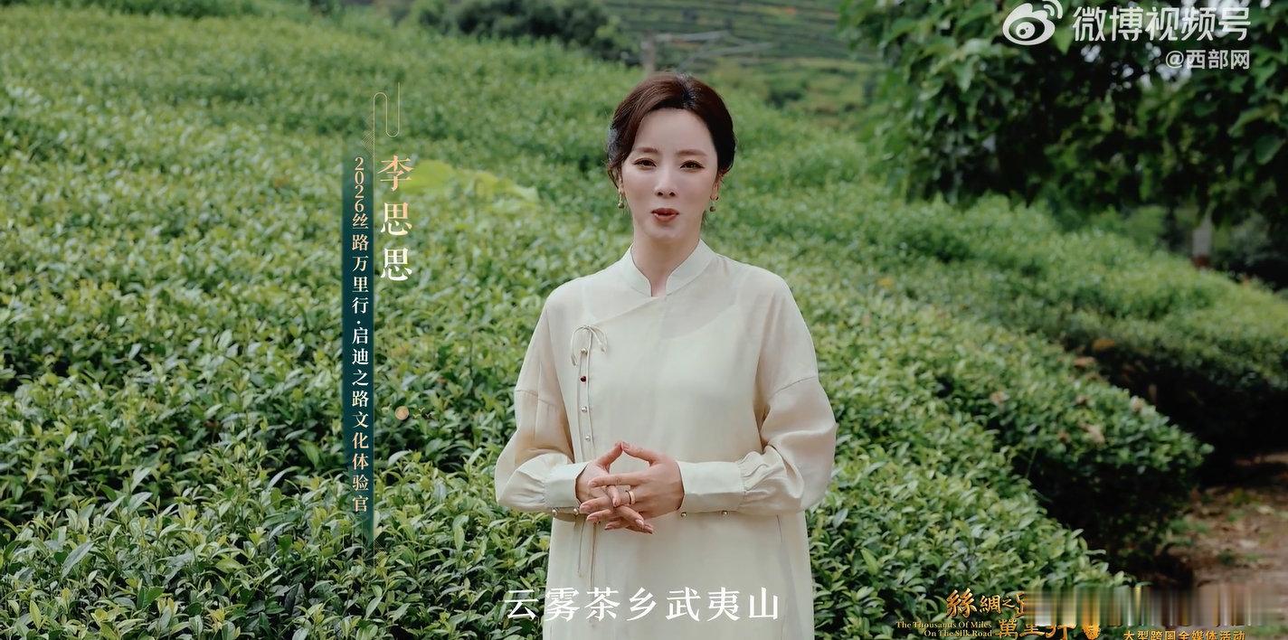 丝路连山海一叶看千年 谁懂啊，武夷茶叶曾经惊艳海外，现在我们的新能源汽车，继续向