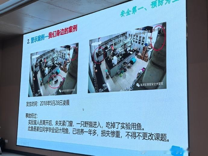 的确损失惨重了，难怪全院通报警示哈哈哈哈 ​​​