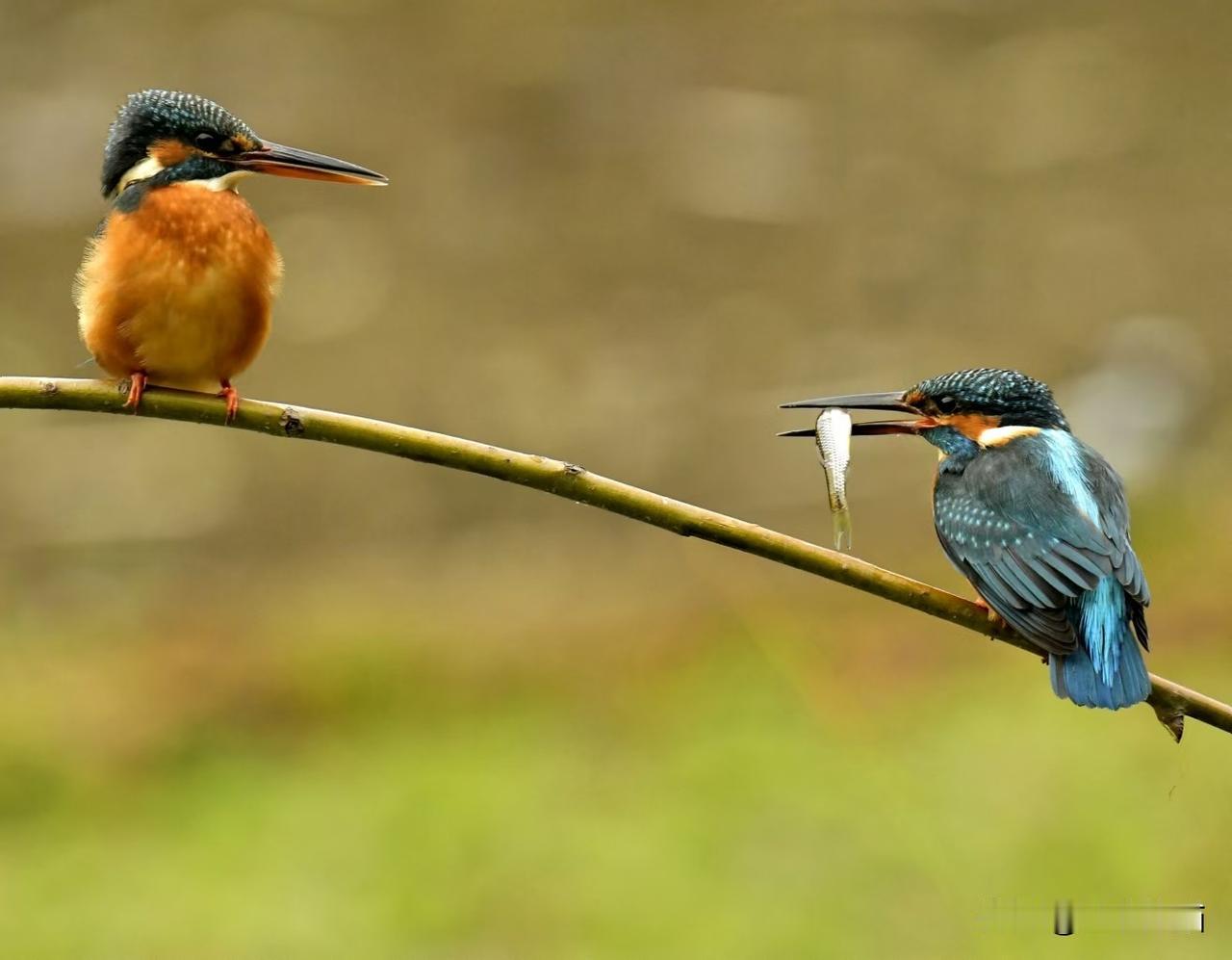 成都老年人协会摄影专委会
图文原创：袁伟
组图编辑：刘德勋 袁顺柱