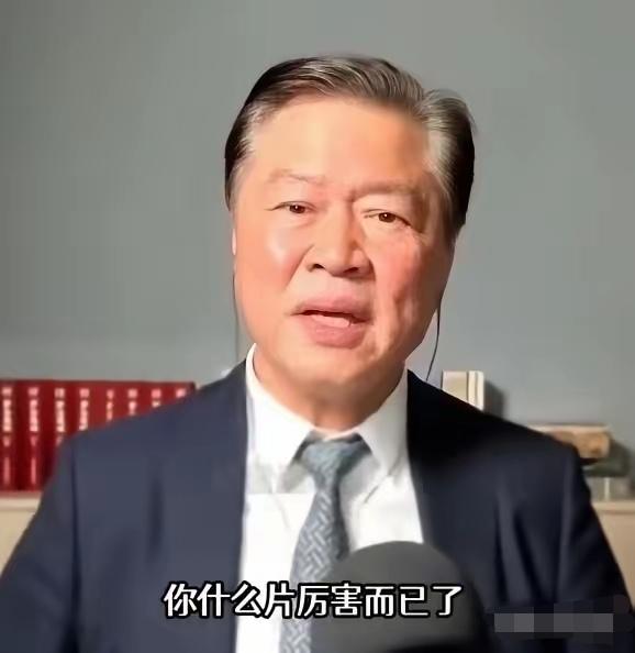 赖岳谦这句点评，像一把手术刀，精准地剖开了日本光鲜外表下的尴尬现实。他说日本除了