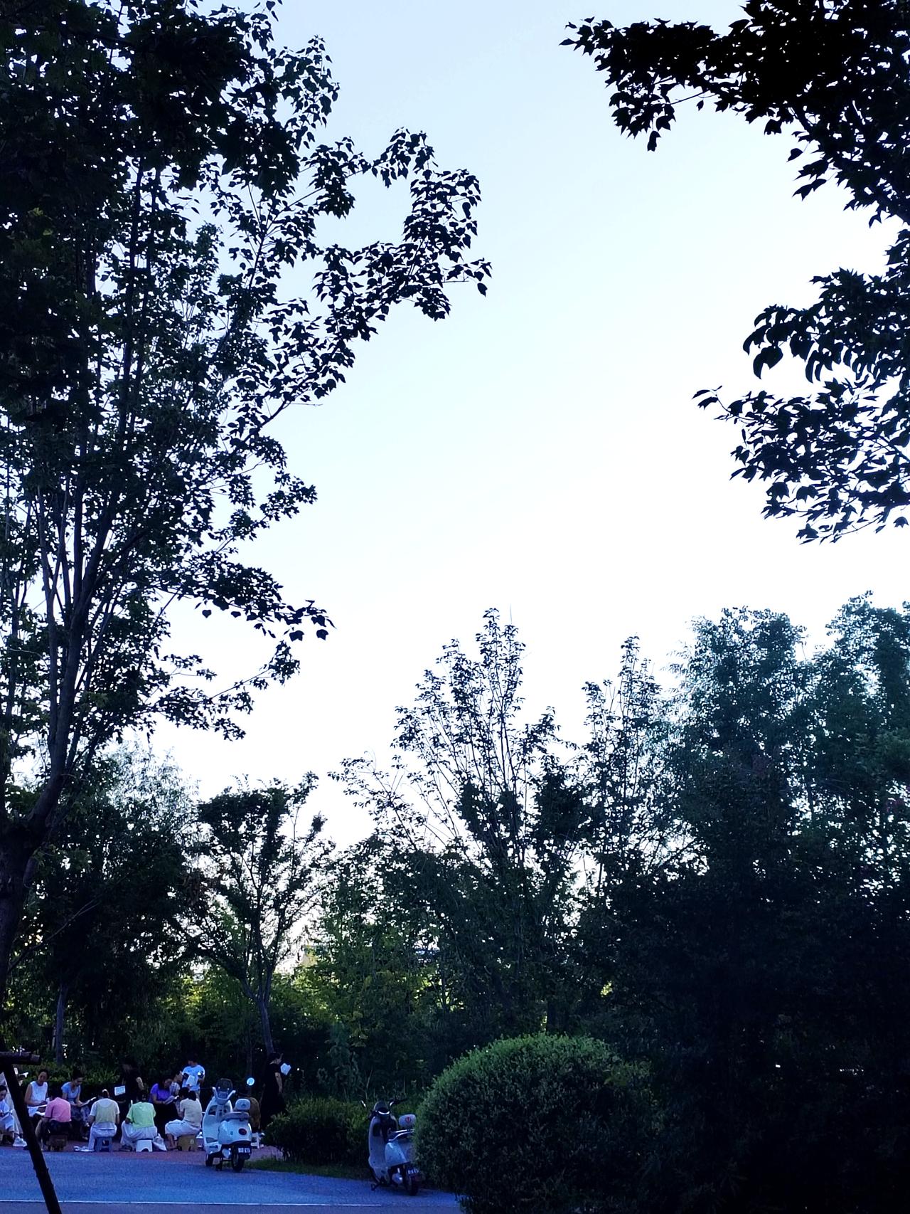 早晨的公园里感觉空气特别有新鲜感，看到这一幕，我拿起手机随手拍几张图片，记录日常