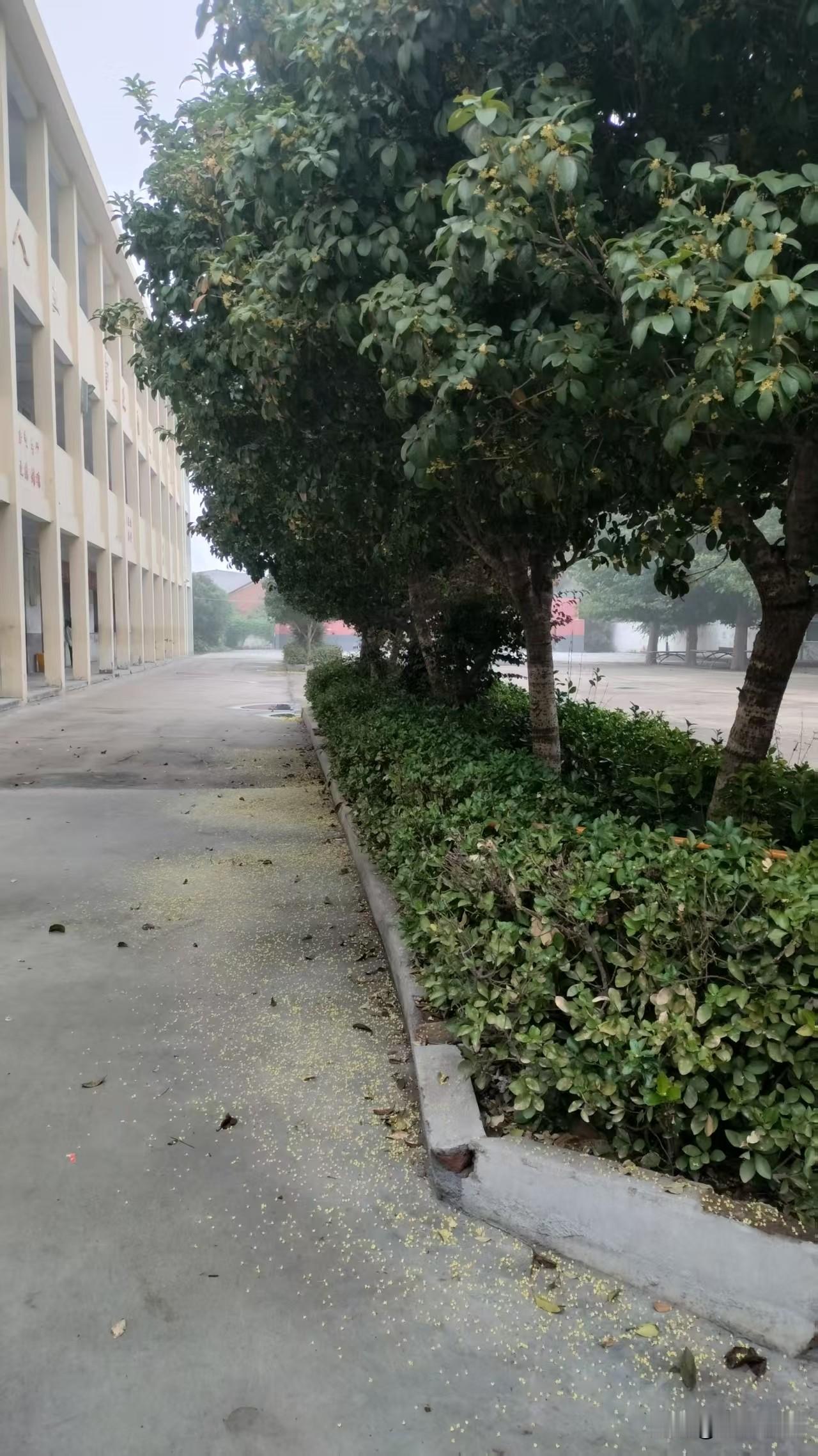 什么样的人，才不会被人拿捏，永远不会被情绪推着走？很多人在人际关系里吃过亏，事后