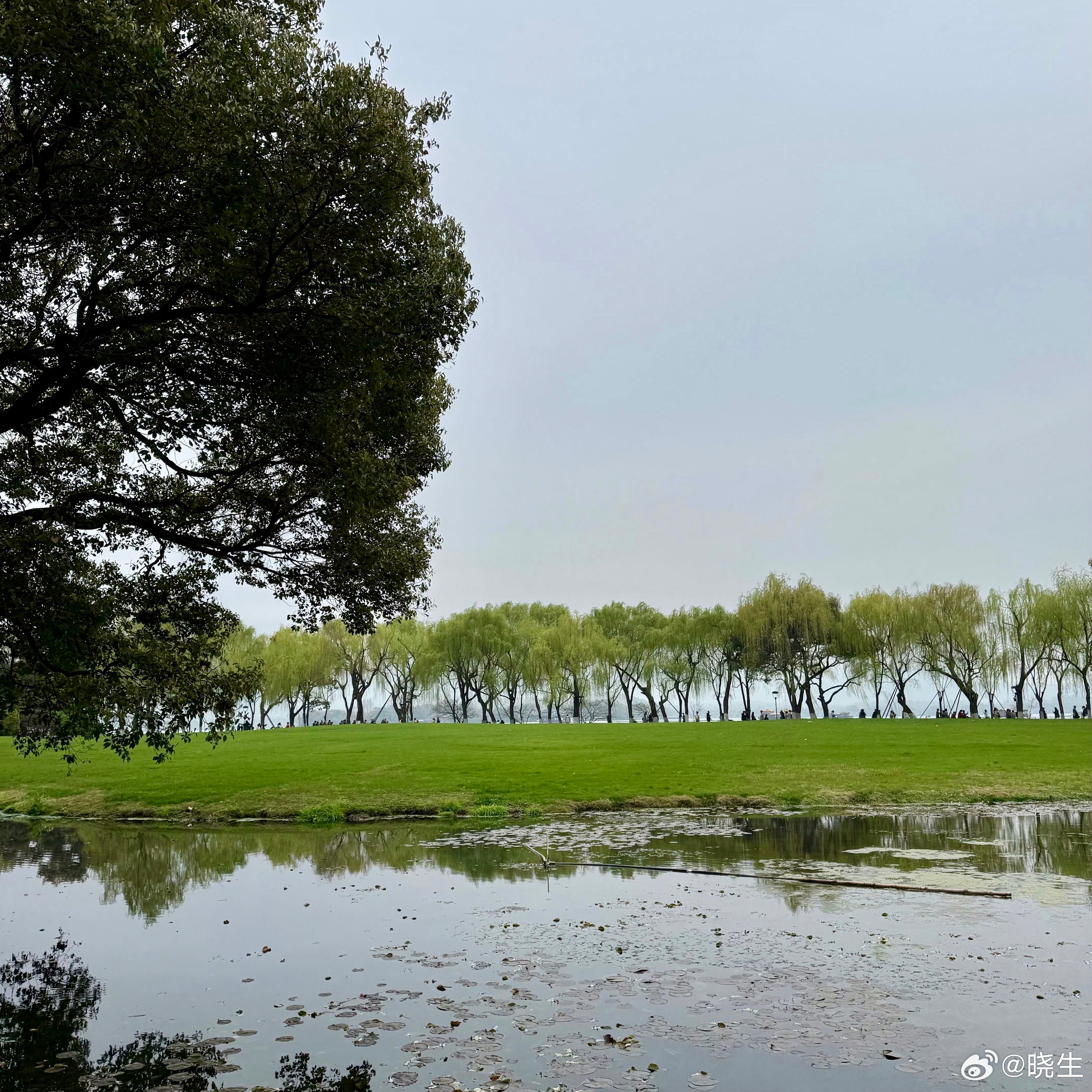 我这边咨询经常遇见一种人——带着答案提问人生选择这个事，其实是没人能左右的，但是