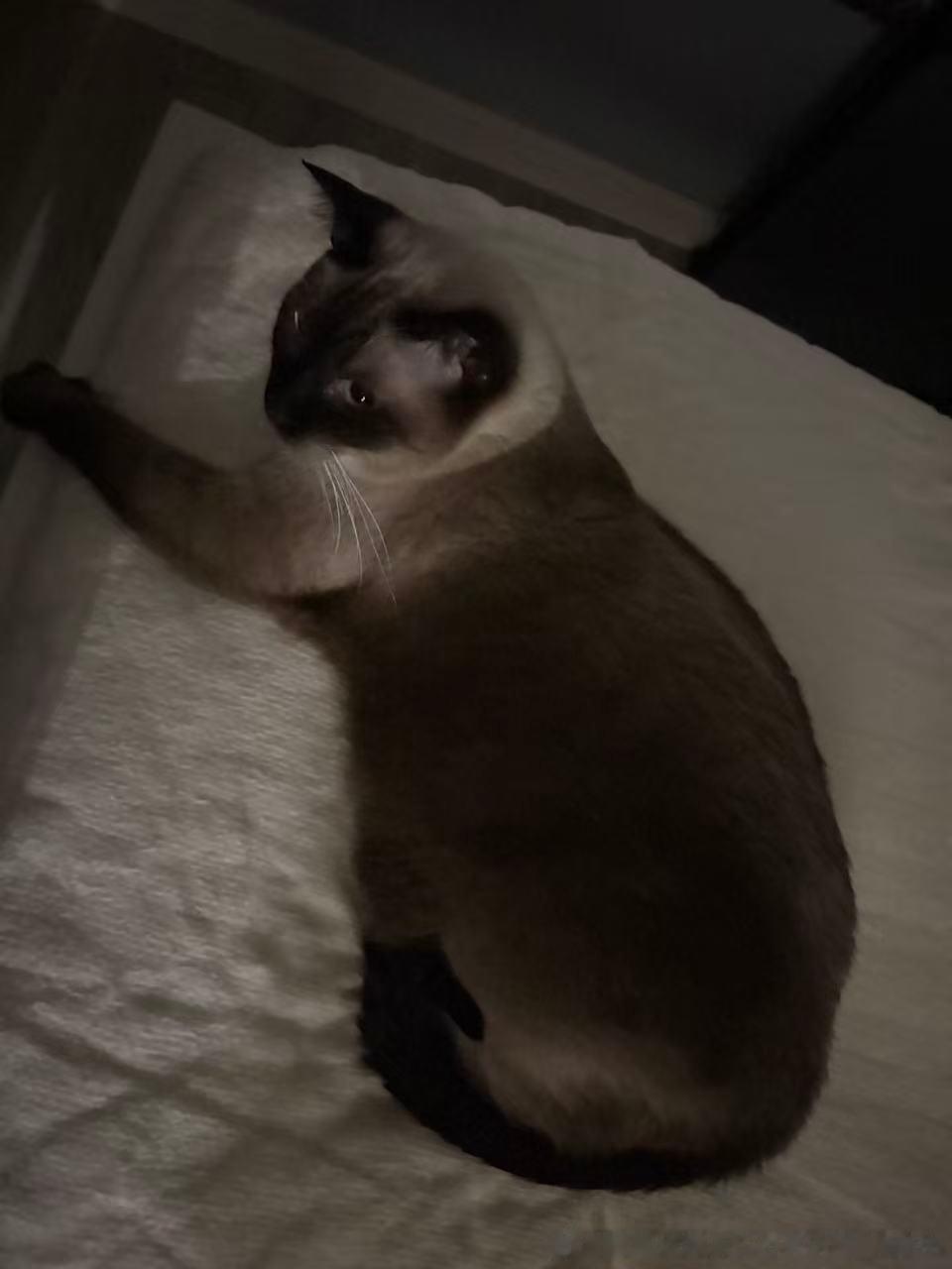 晚安逼罗 ​​​