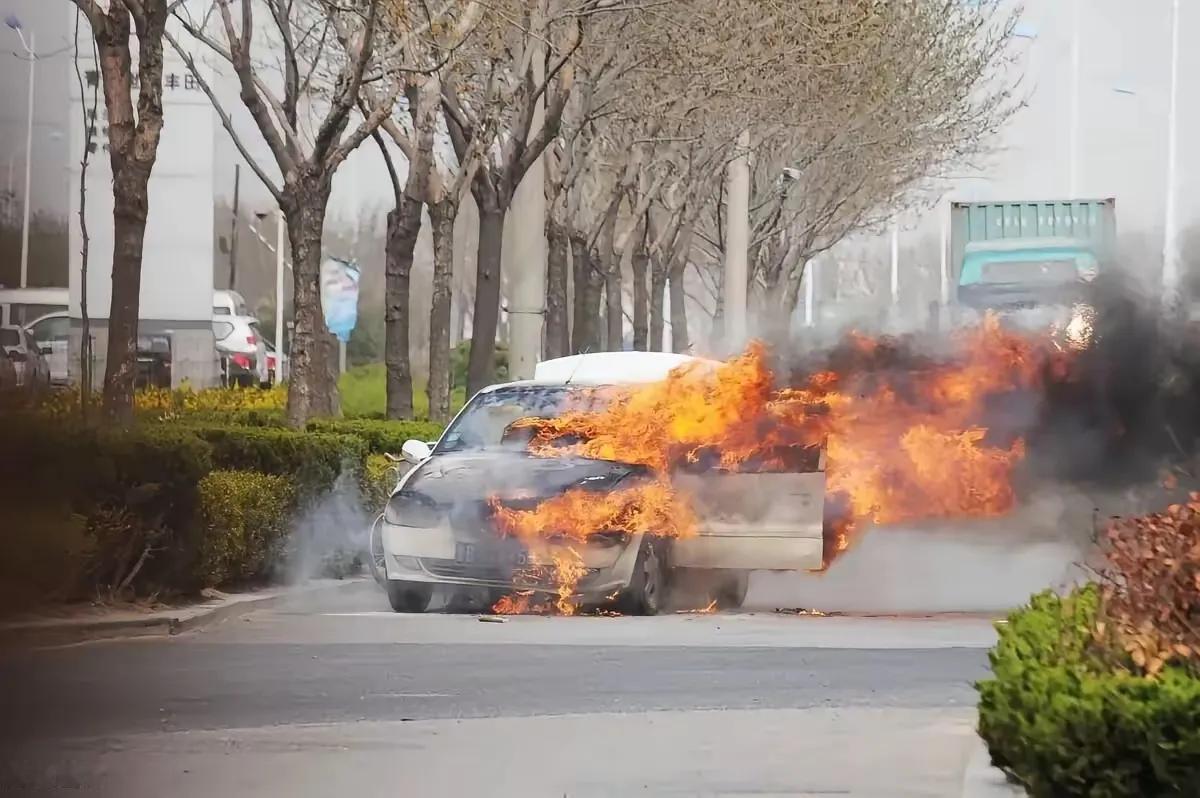 啥时车企解决了电车不自燃问题，估计没油车啥市场了，大家是否同意？