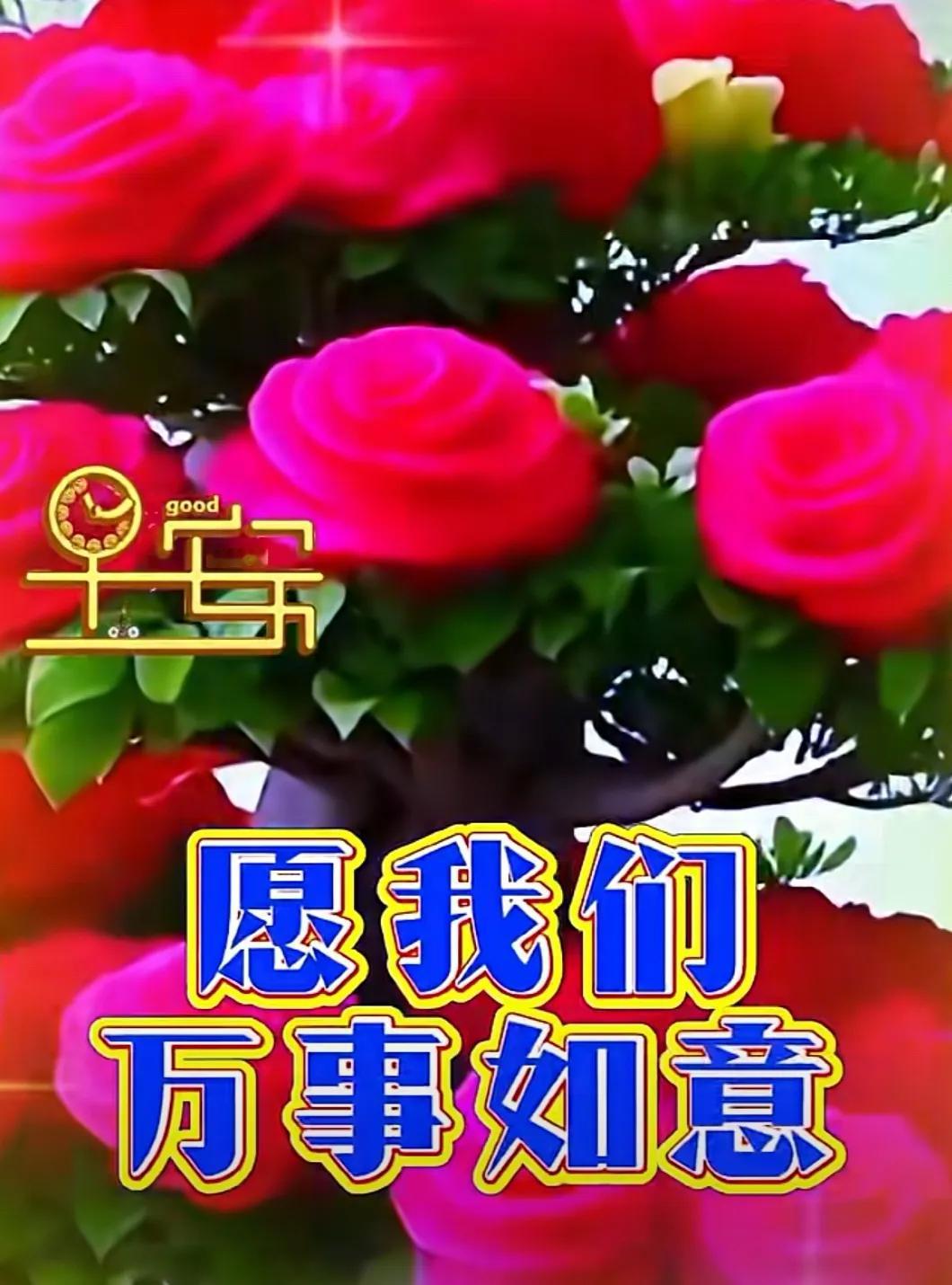 與懂你的人相處是幸福，
和關心你的人交是快樂，
見面不重要惦念才重要，
感恩有你