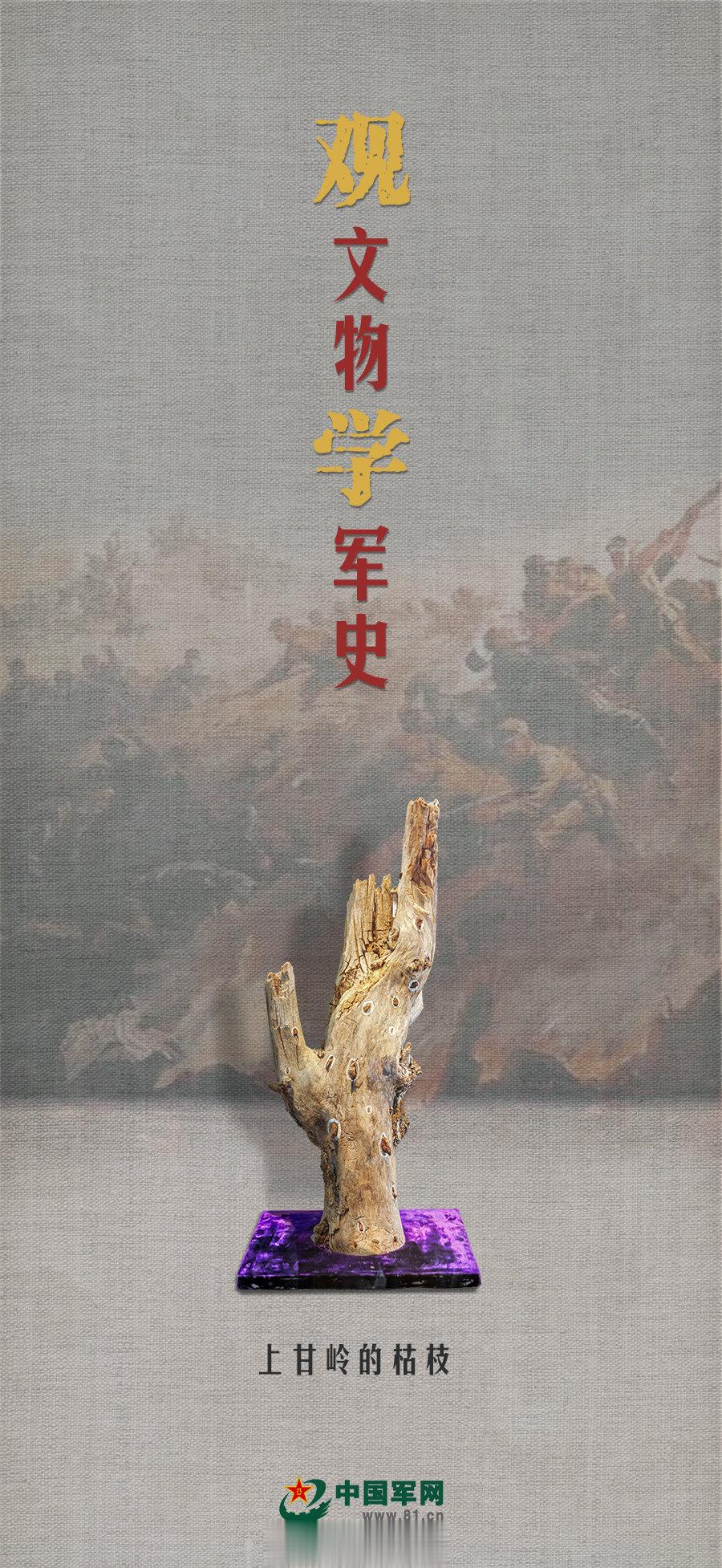 观文物 学军史｜一段布满35枚炮弹碎片的枯枝（中国军网） ​​​