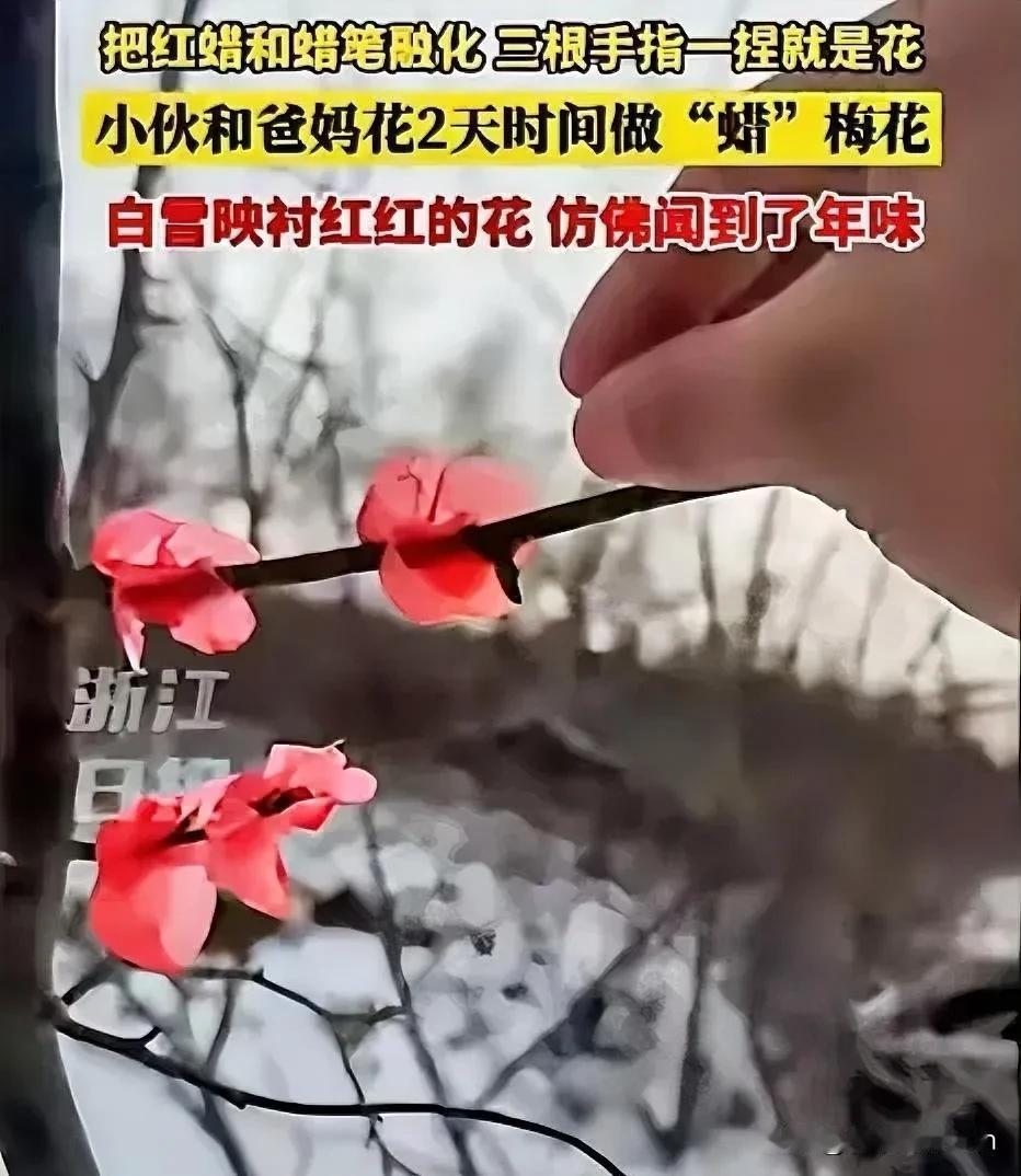 “万万没想到！”吉林一小伙带女朋友回家见父母，谁知，女友刚到他家就看到院子里腊梅