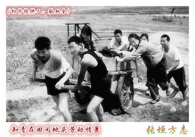 六七十年代为什么人们不怕苦回看六七十年代，人们为何不怕苦？其一，建设新中国的满腔
