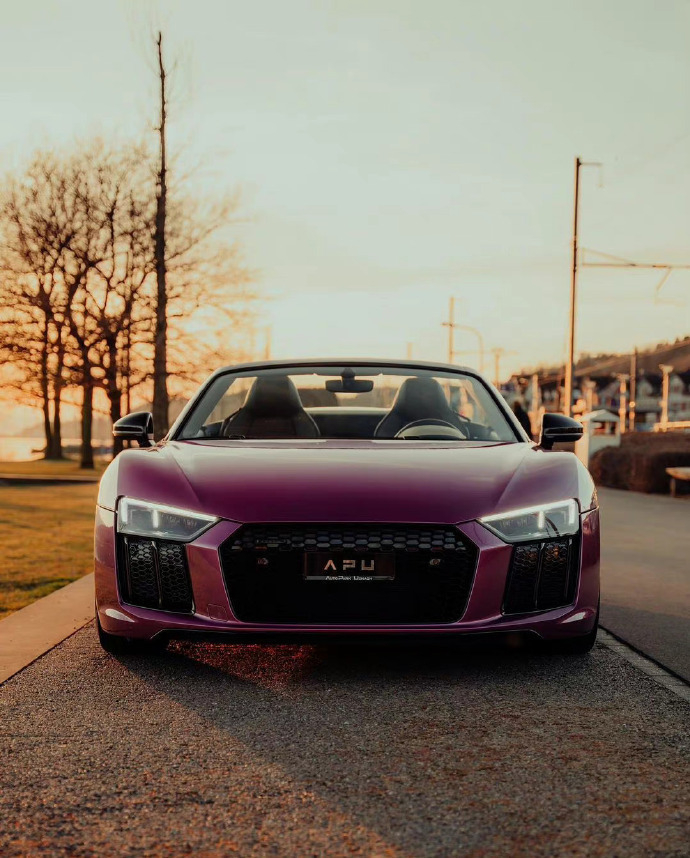 奥迪 R8 V10 Spyder，颜值超赞 