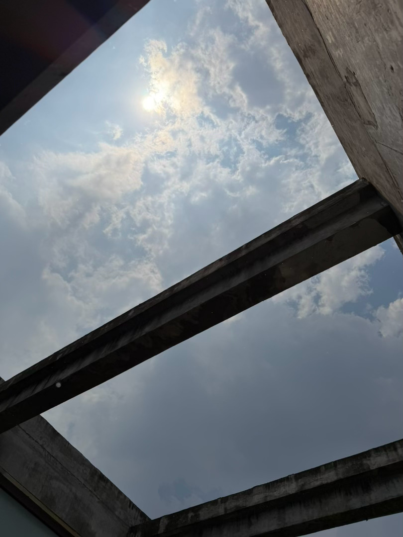 蝉鸣 雨落 艳阳 