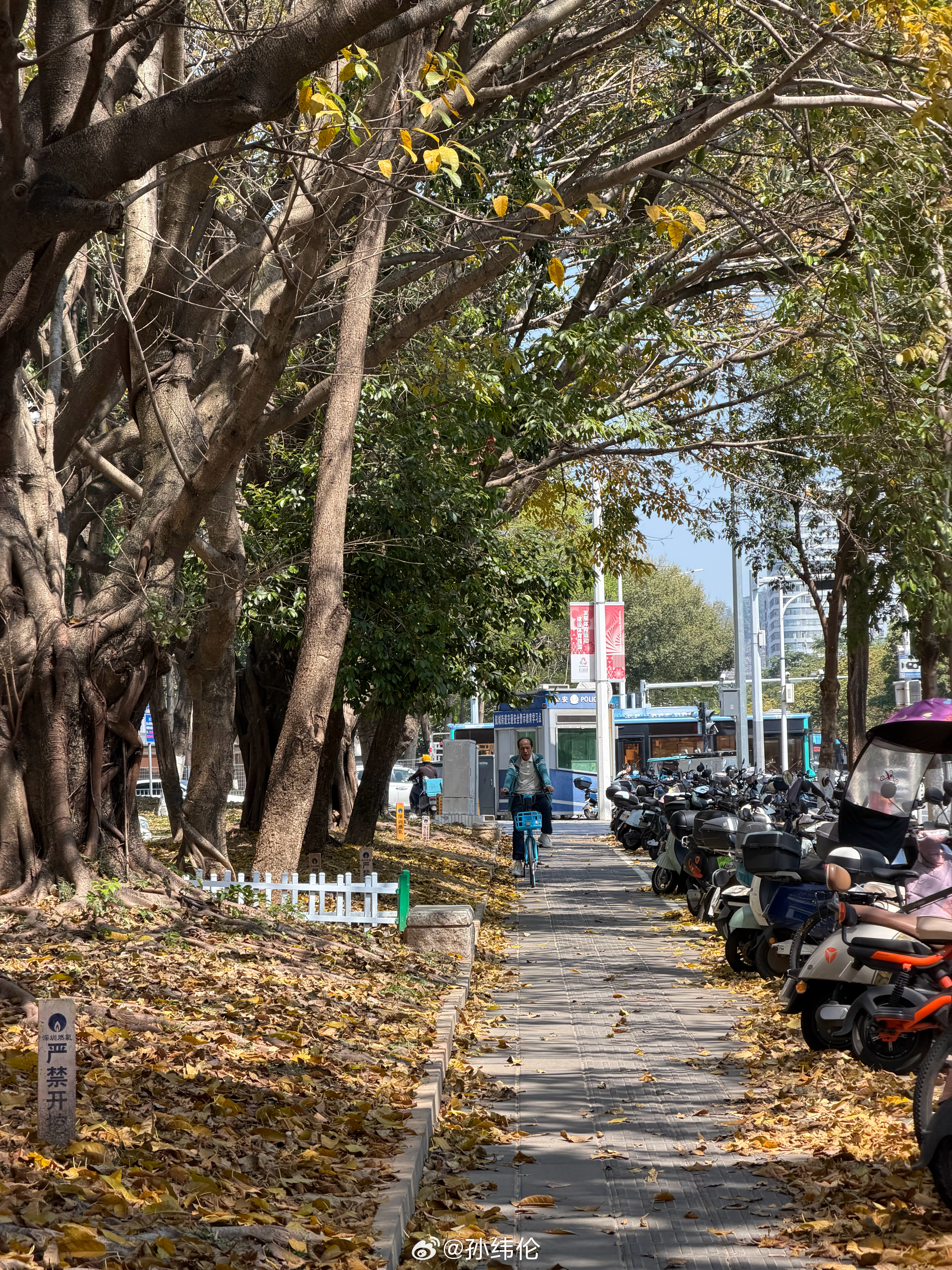 深圳的春夏秋冬是混着过的但总觉得很舒服 深圳·壹方中心