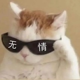 嘉桐捧娱乐