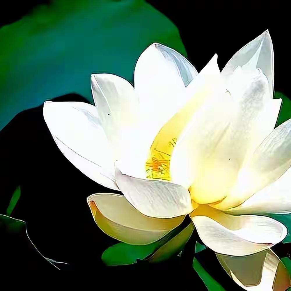 坚持下去，因为曲折的路自有答案，像一束光穿透了无数人的迷茫。在这个人人渴望捷径的