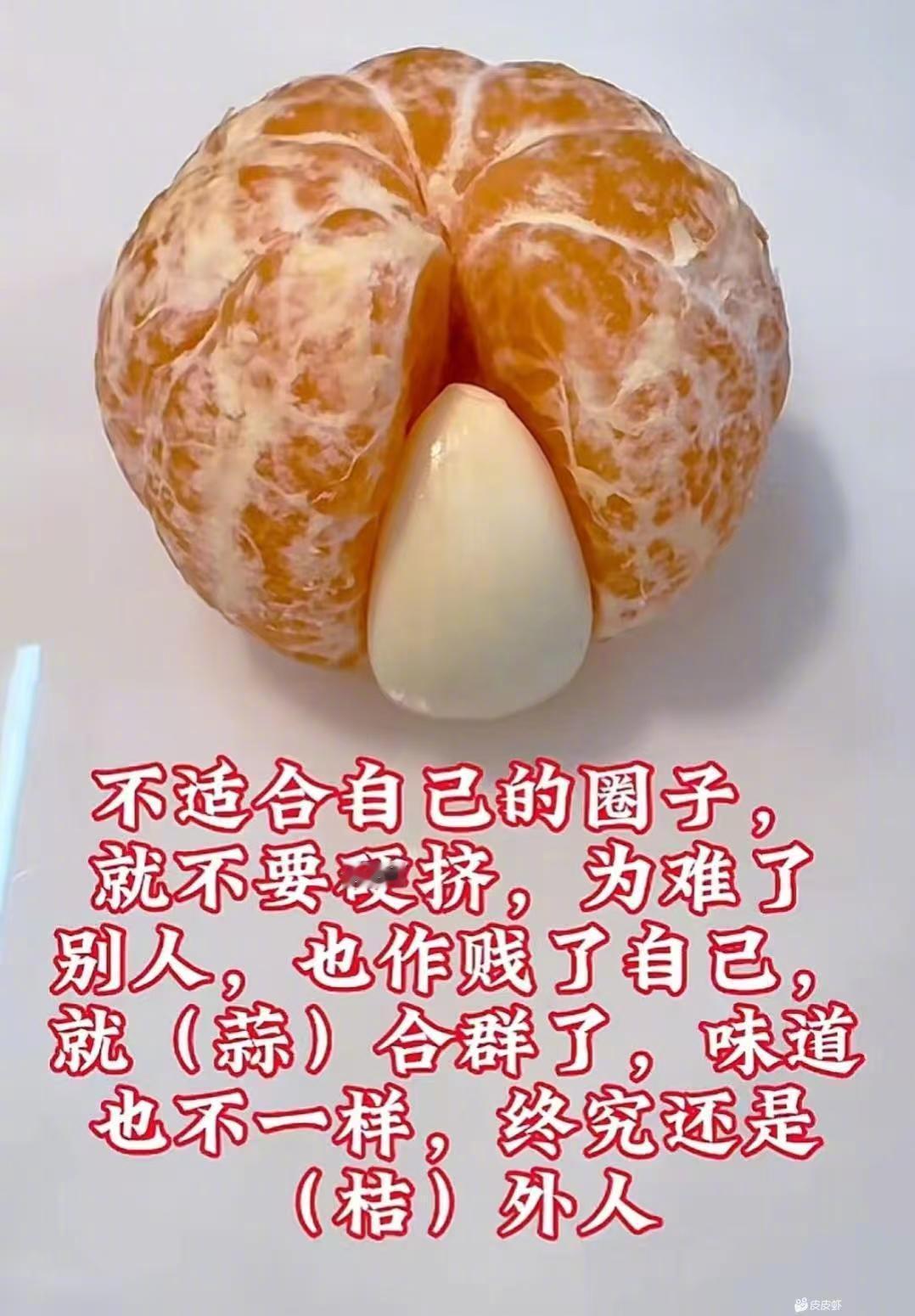 做一颗清醒的蒜，融不进的局，不如体面地做个“桔外人”。 