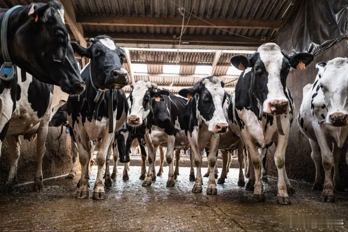 【“难以承受的不平衡”给埃马纽埃尔·马克龙的北京友好形象蒙上了阴影】（金融时报）