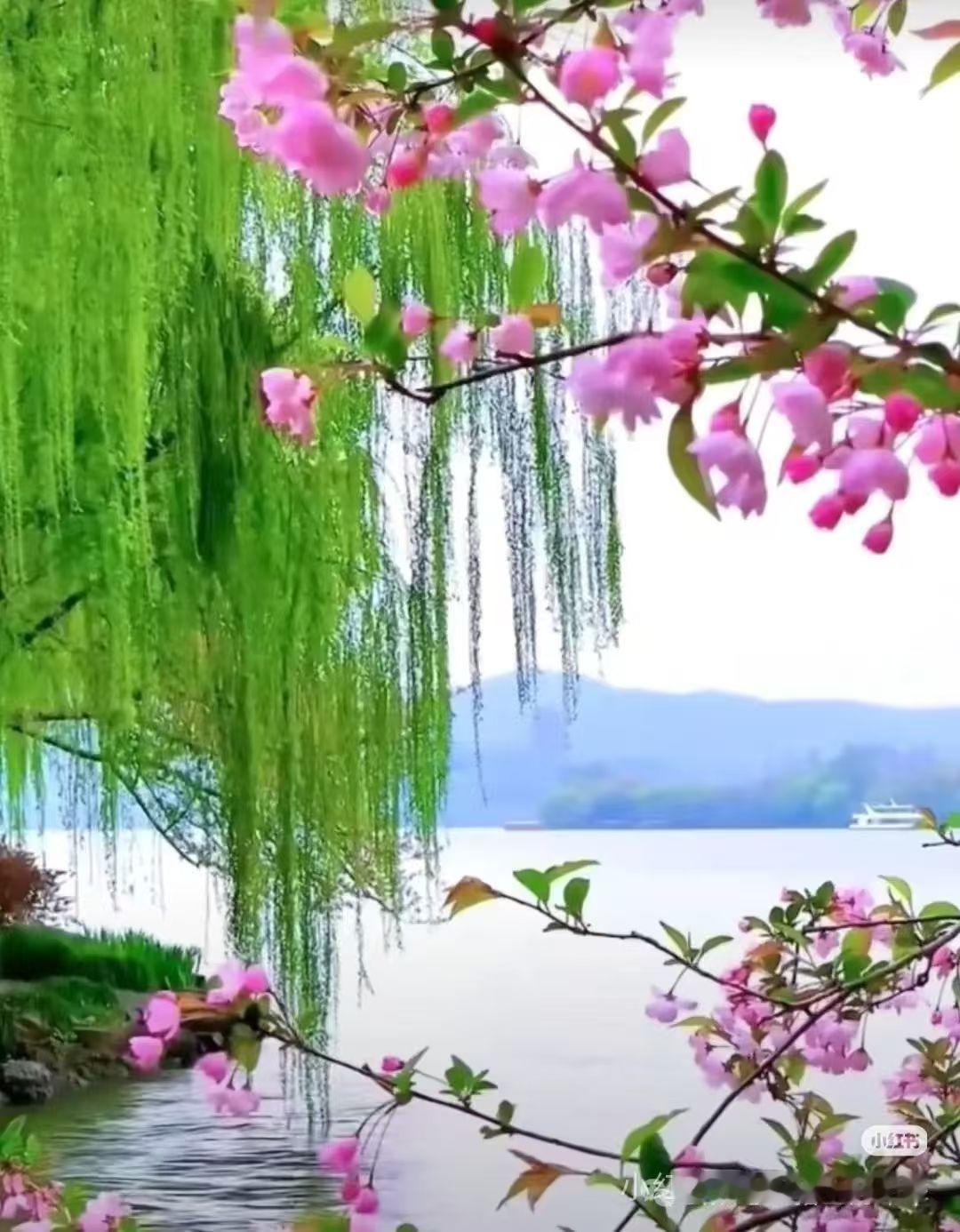 殿前欢·春雨 
桃花雨，
风送絮雪满庭除。
万紫千红春如许。
得意轻舒，
几分爱