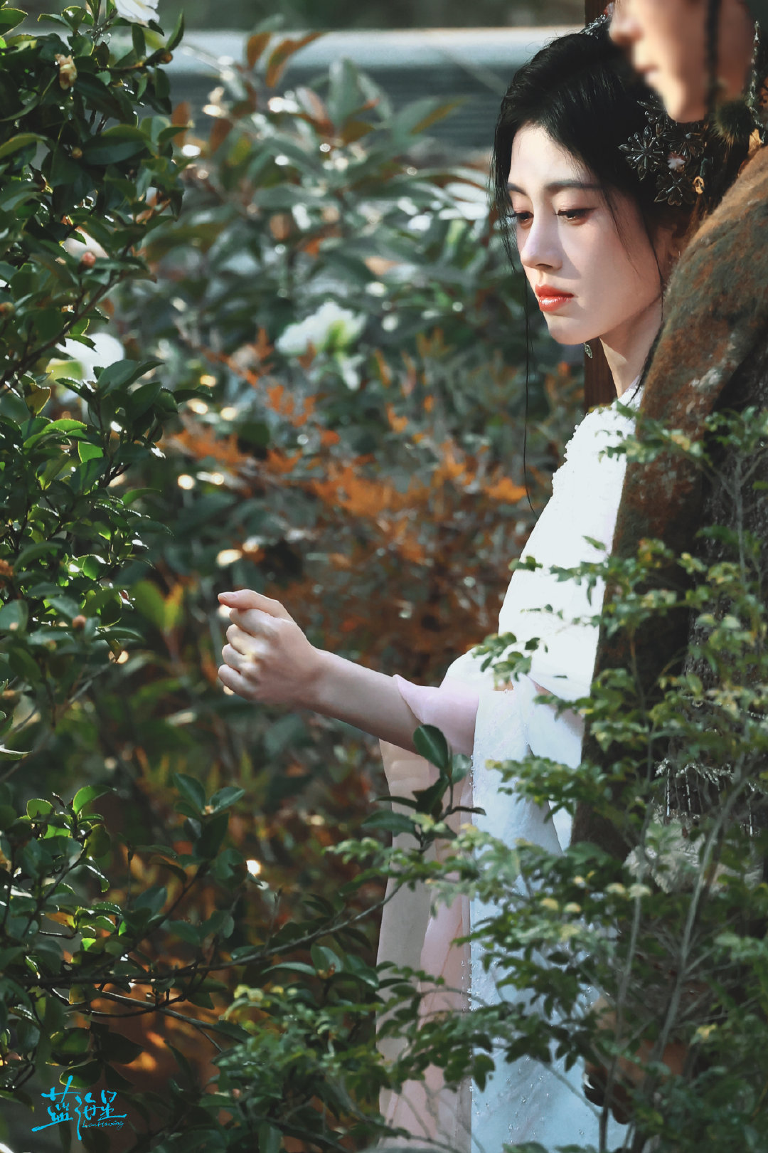 jjy鞠婧祎千香 jjy鞠婧祎姜黎非 “玫瑰之所以是玫瑰，是风与光的眷顾，更是视