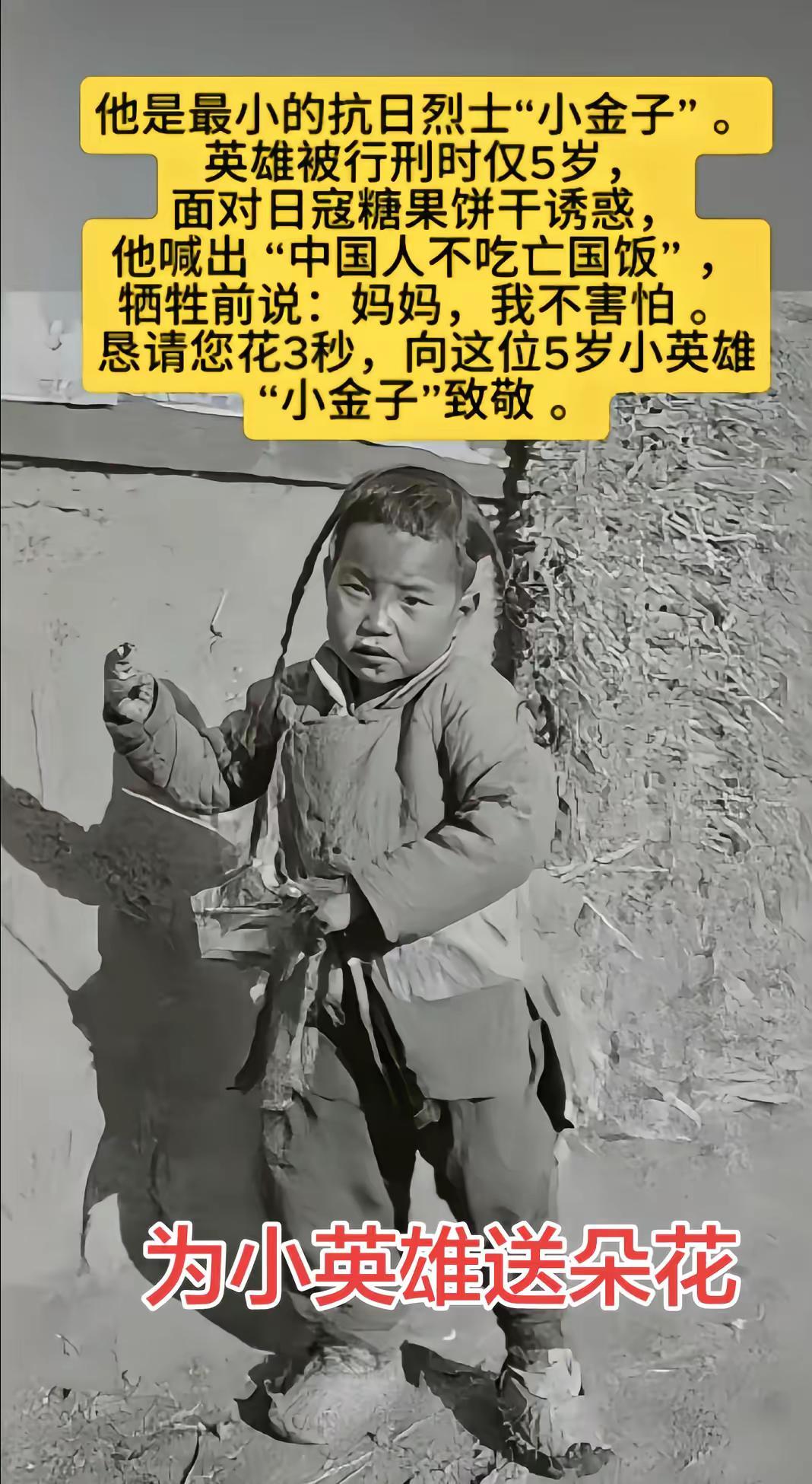 图文 短视频变现 烈士小英雄短视频创业