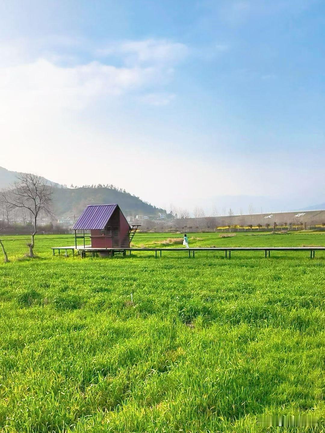 中年以后得夫妻之间最伤人的，并不是吵架

很多人都以为，
步入中年以后的夫妻最怕