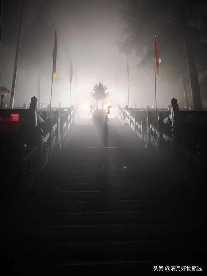 春日生活打卡季春天的天空笼罩着一层厚厚的灰色云幕，阳光被遮挡得无影无踪，空气中弥