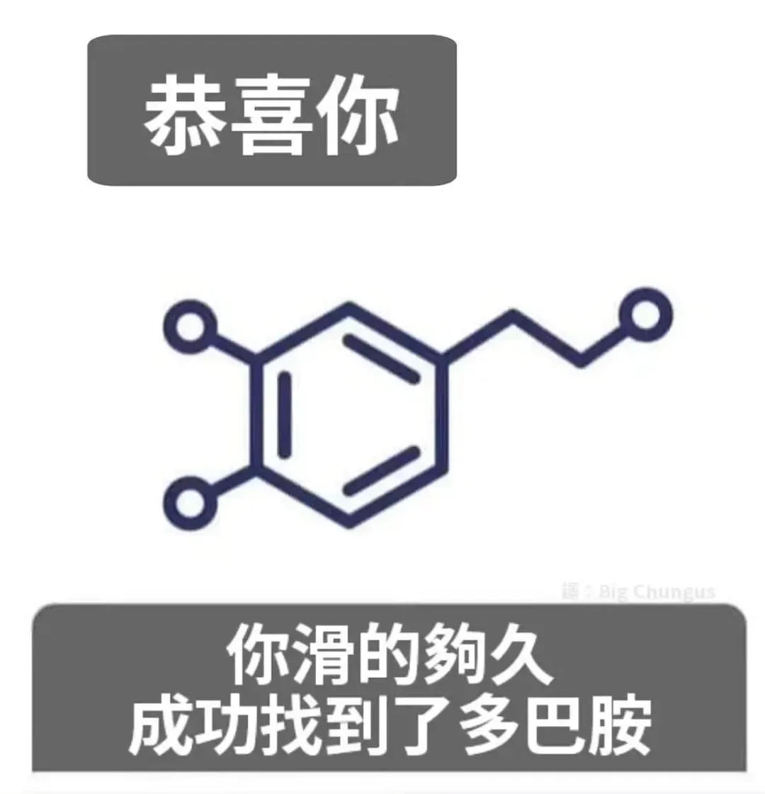 恭喜你 成功找到了多巴胺