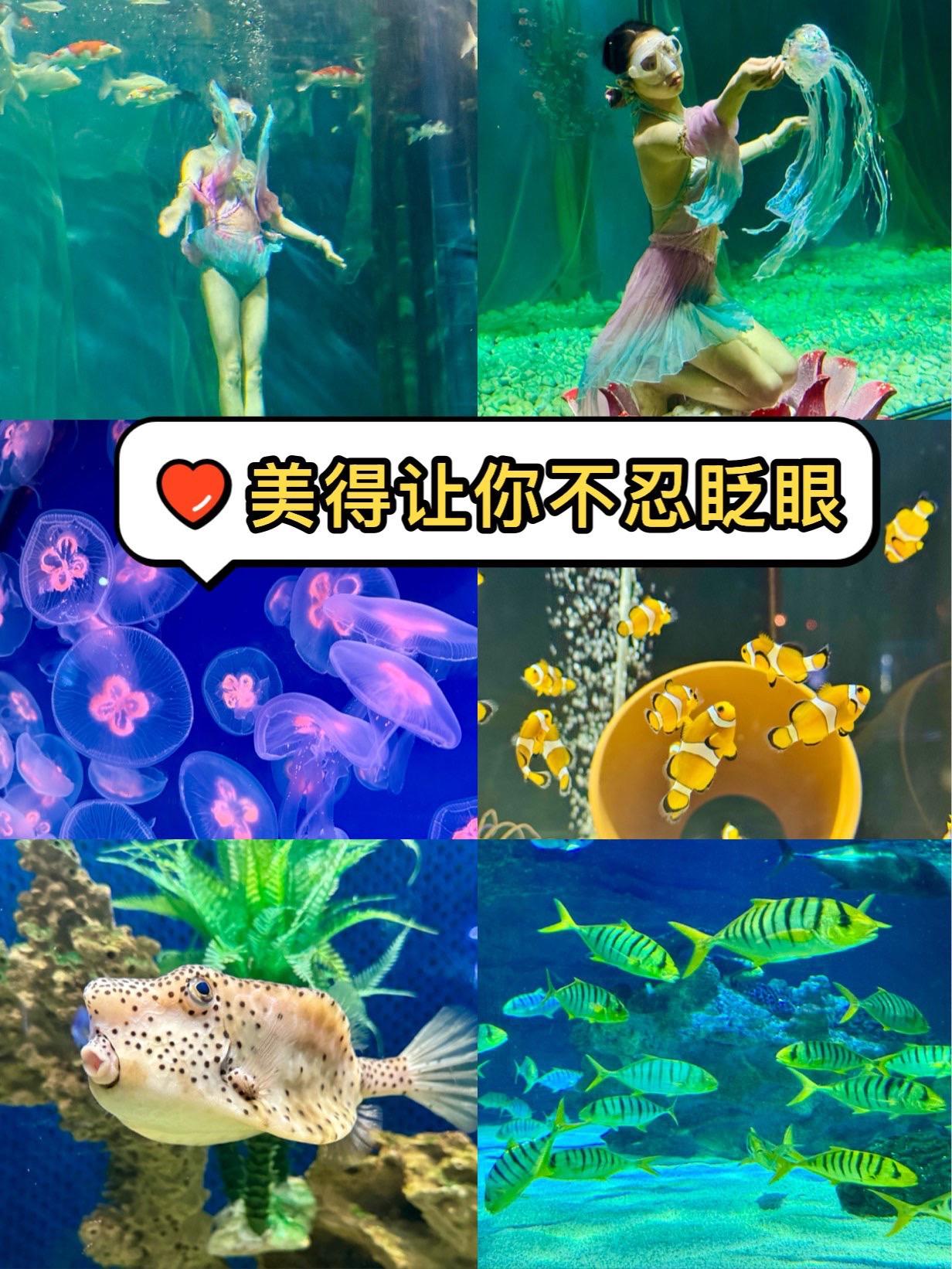 很多北京人也不知道！全北京这里美得最像三亚

万万没想到，北京工体富国海底世界观