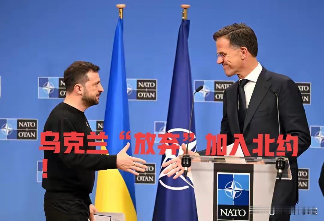 “放弃加入北约 开始谈国内选举”，泽连斯基被逼到墙角了！
  随着美国 27 条