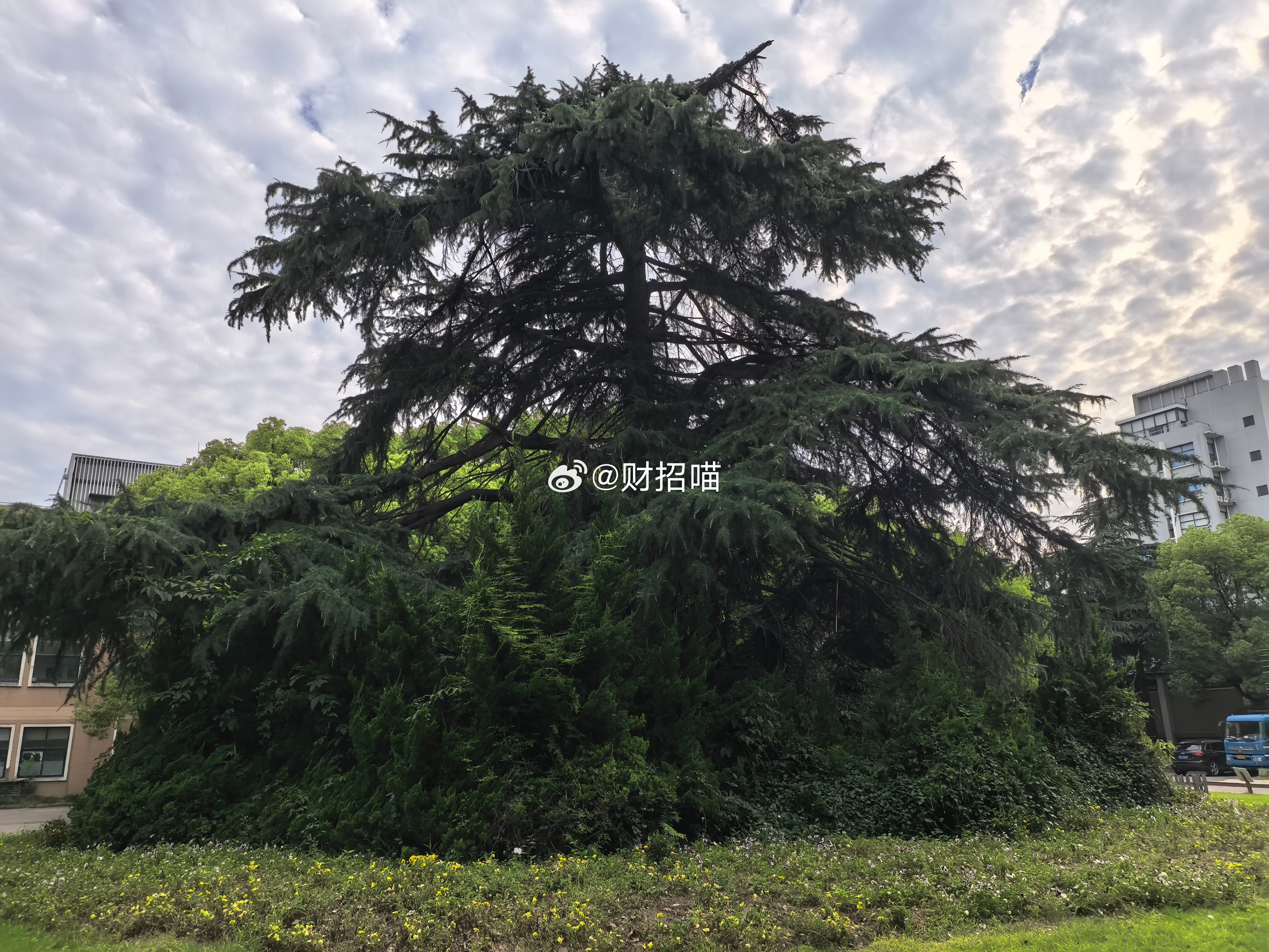 婚姻中大多数女性往往陷入催眠式的自证幸福大多数女性在婚姻中为什么这么需要老天的祝