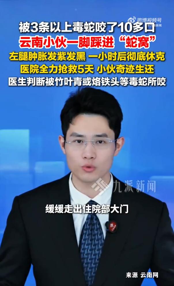 蚊虫叮咬？不，那是被蛇咬了。5月22日上午，云南保山市人民医院血液科蛇伤救治中心