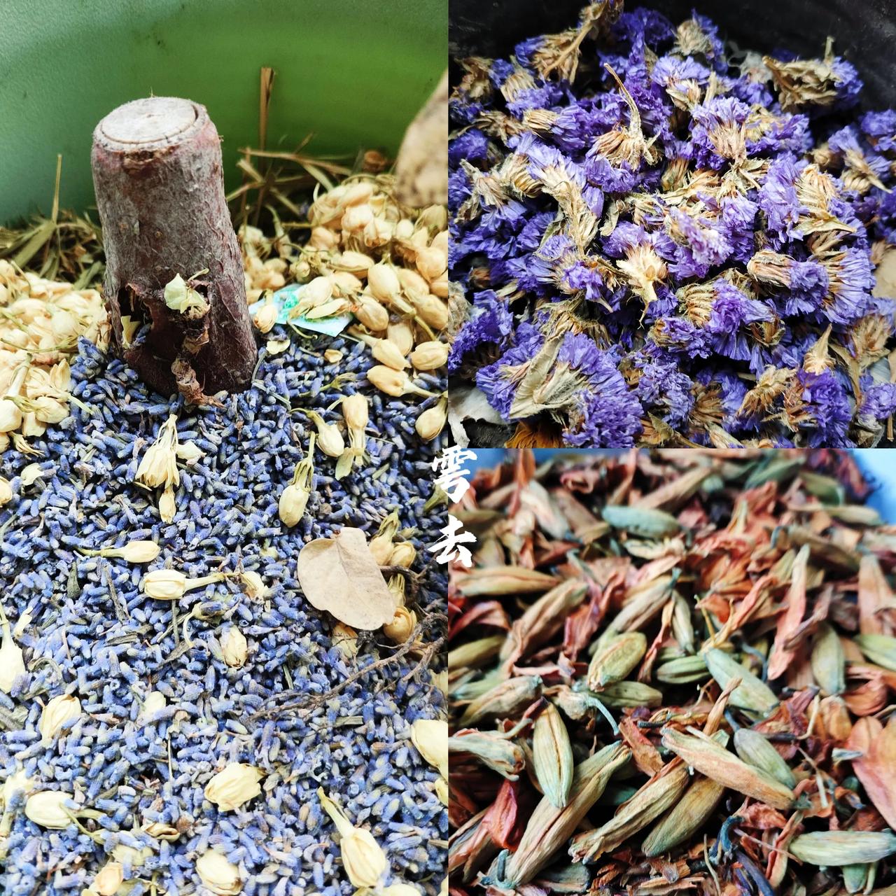 去年即2022年所买的用来作饮品的花草茶茉莉、薰衣草、勿忘我、百合花等因为我妈骨