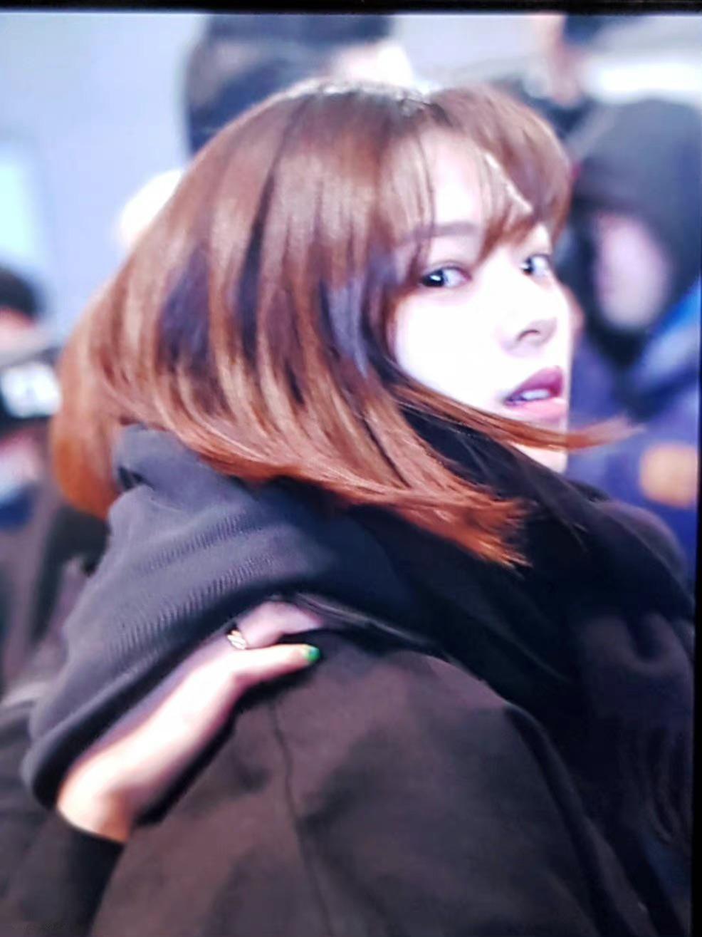 回眸🫠棕短·机场 