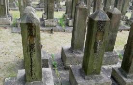 2003年，日本留学生杨海嘉在日本烈士陵园发现十座清朝军人的墓碑，墓碑上的两个字