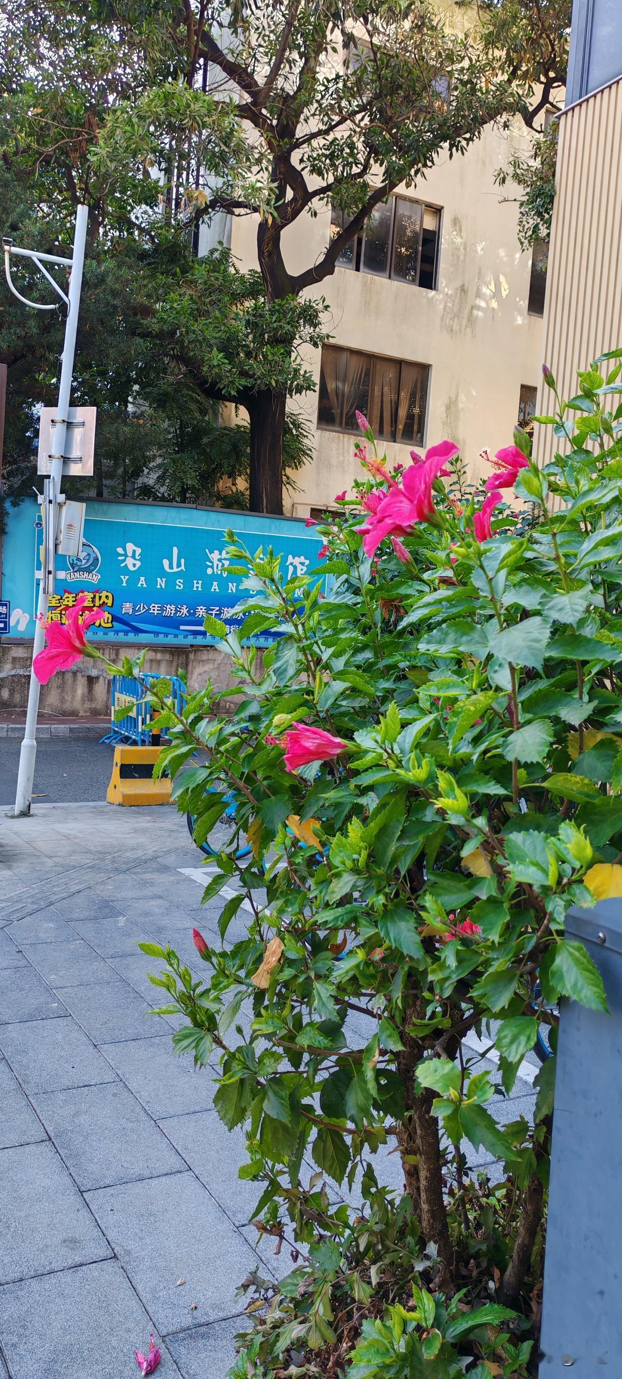 这就有些过分了。
女子49岁带个儿子，二婚。二婚老公也有个儿子。
二婚老公挣钱都