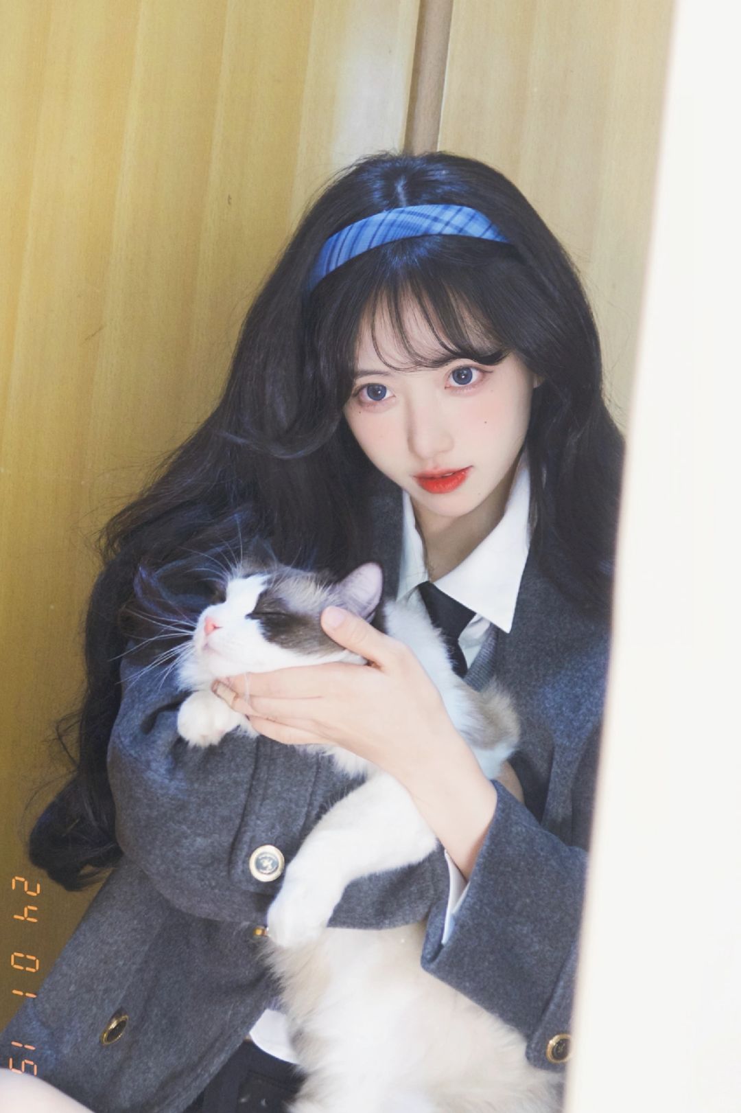 🫧小猫在午睡 地球在转圈⊂((・x・))⊃