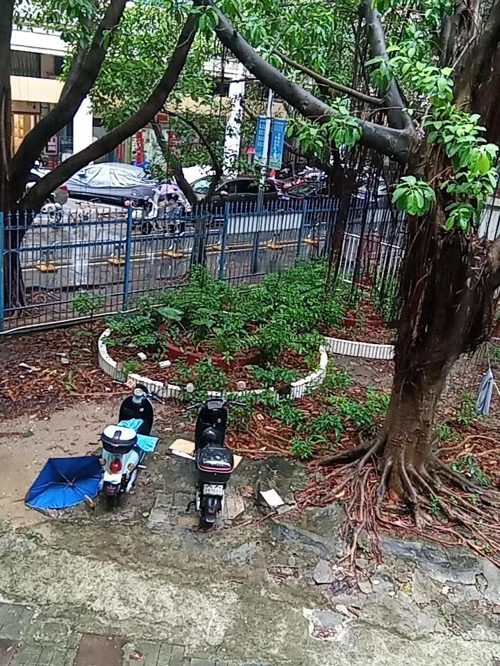 连续的雨天，
宅在家里喝喝茶，
生活在城市，
似乎很少去感受欣赏雨天，
看着雨滴
