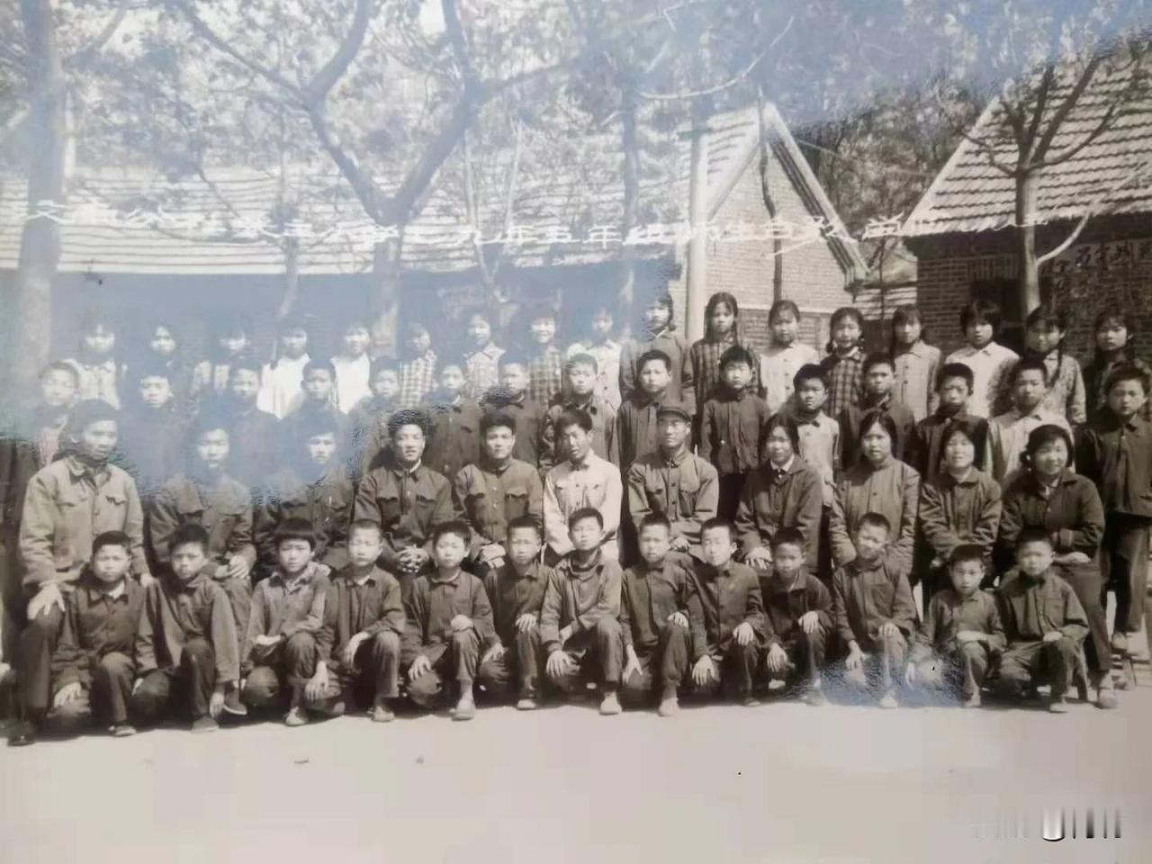 小学同学照片四十年后复再现，哪个是我？