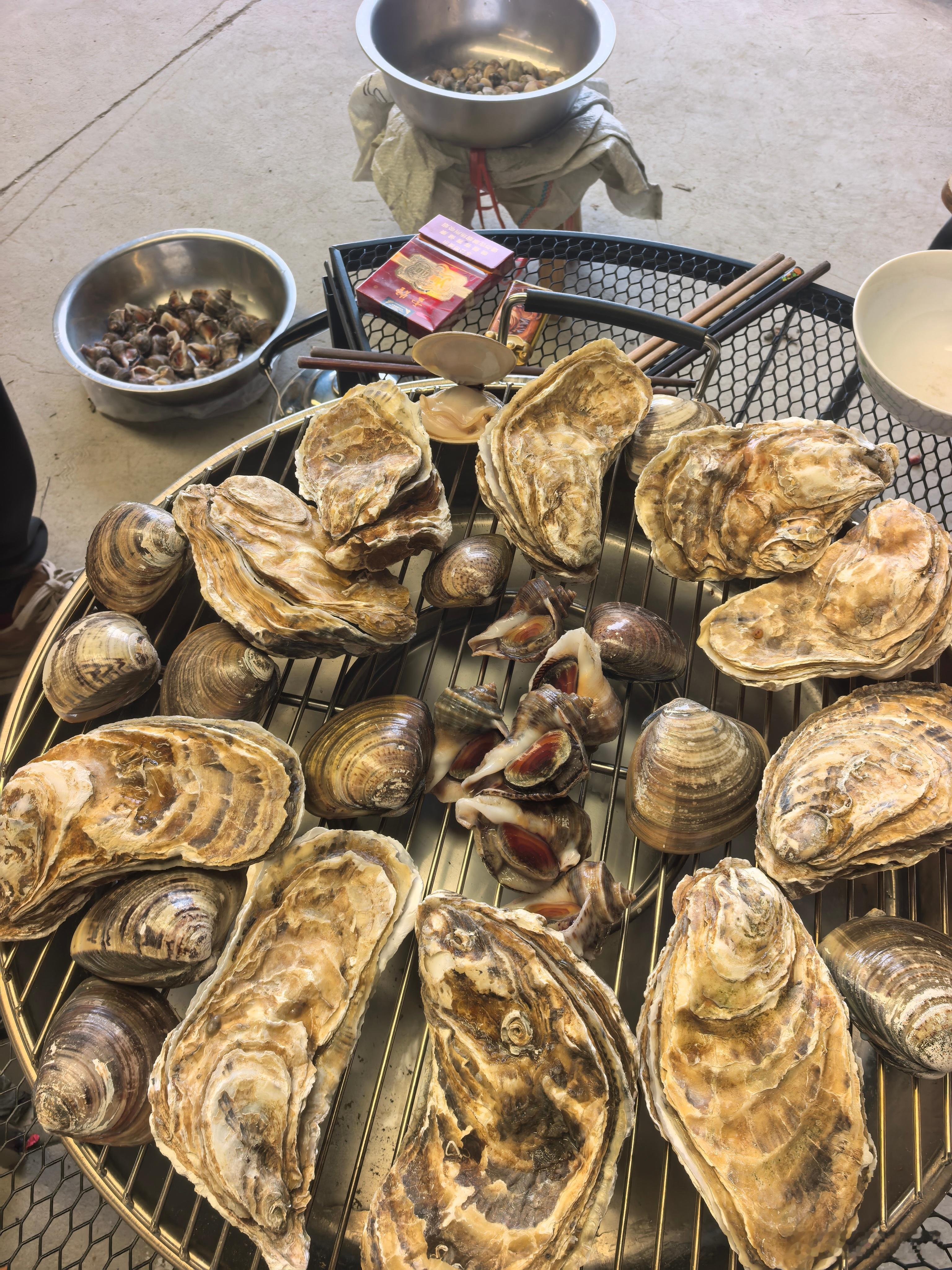 赶集买了点吃的，乳山生蚝，蛤喇，海螺 