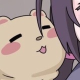 红红侃影视剧