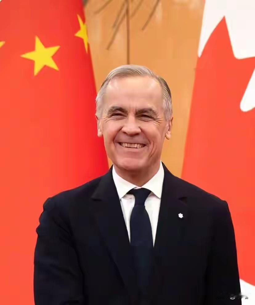 加拿大忙活了半天，终于解决了自己制造的麻烦。同意4.9万辆中国电动汽车进入加拿大