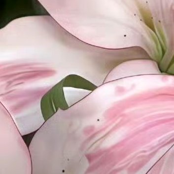 每日一善‎每日一善 ‎阳光‎信用 忙时尽兴，闲时有趣，愿你做一个满载能量的人，在