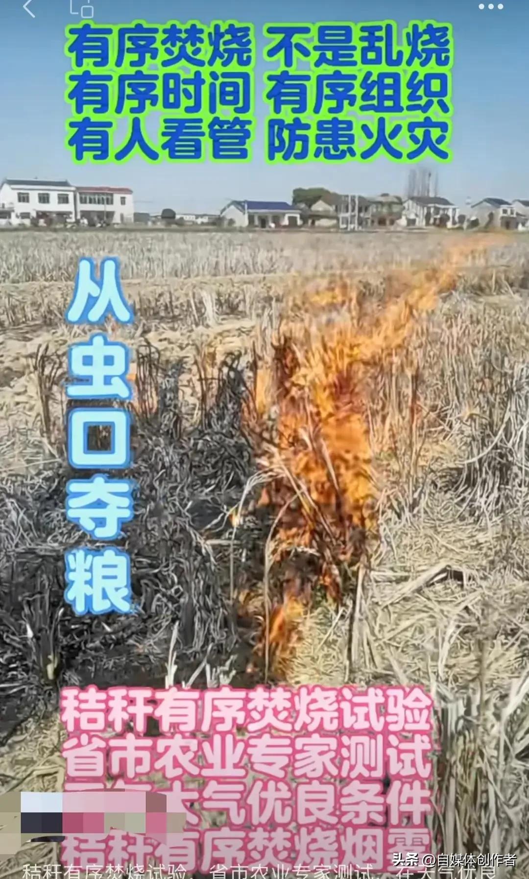 机场旁500米秸秆火海狂烧，禁烧屡禁不止，真的怪农民？
 
机场跑道旁不足500