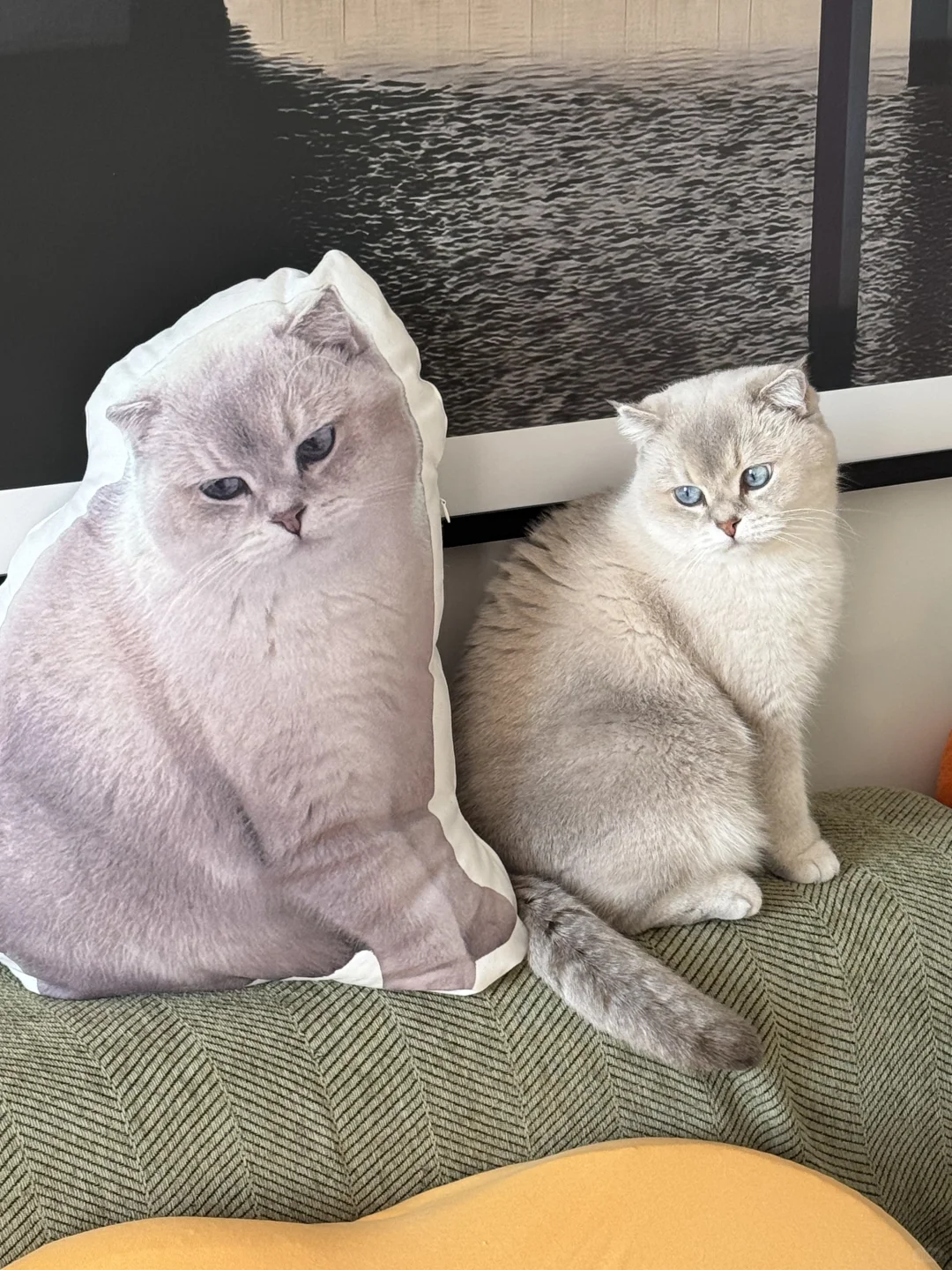 笑死，一回头以为我眼睛重影了