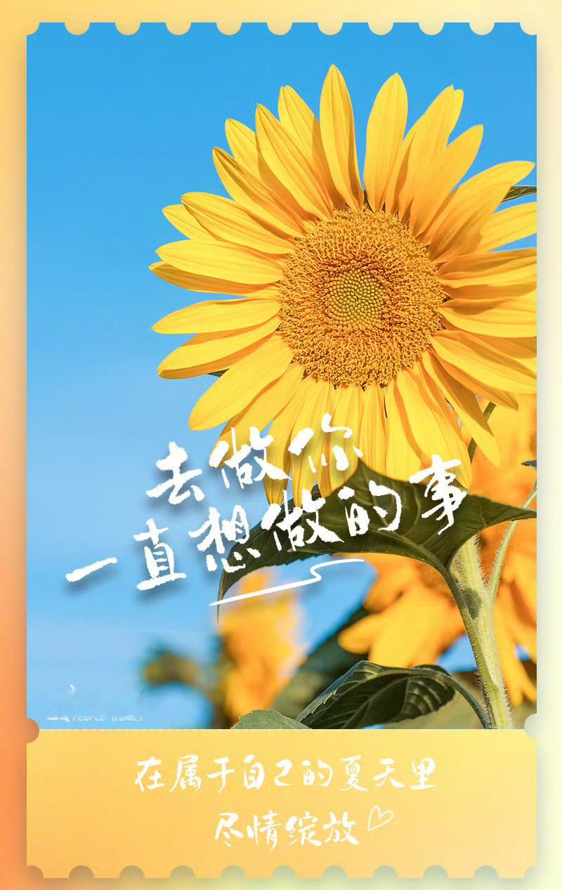 喜欢心中有暖阳的刘宇宁是件很幸福的事，会时刻从他那里汲取能量，一起走在前行的路上