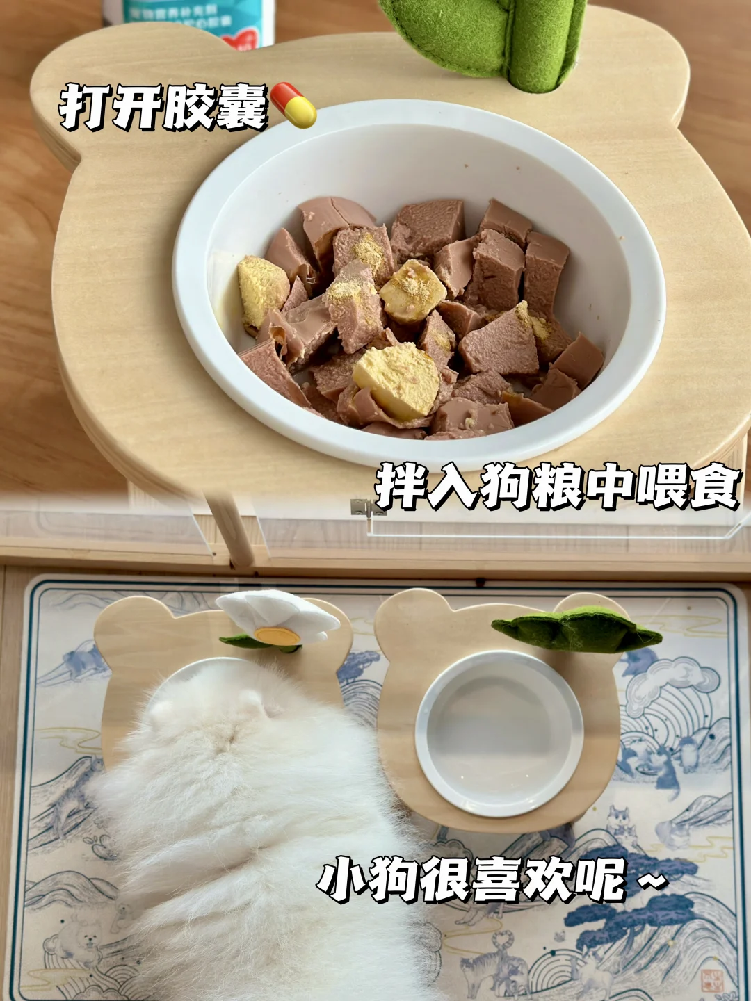 养宠多发病之—心脏问题，快get辅酶Q10补起来