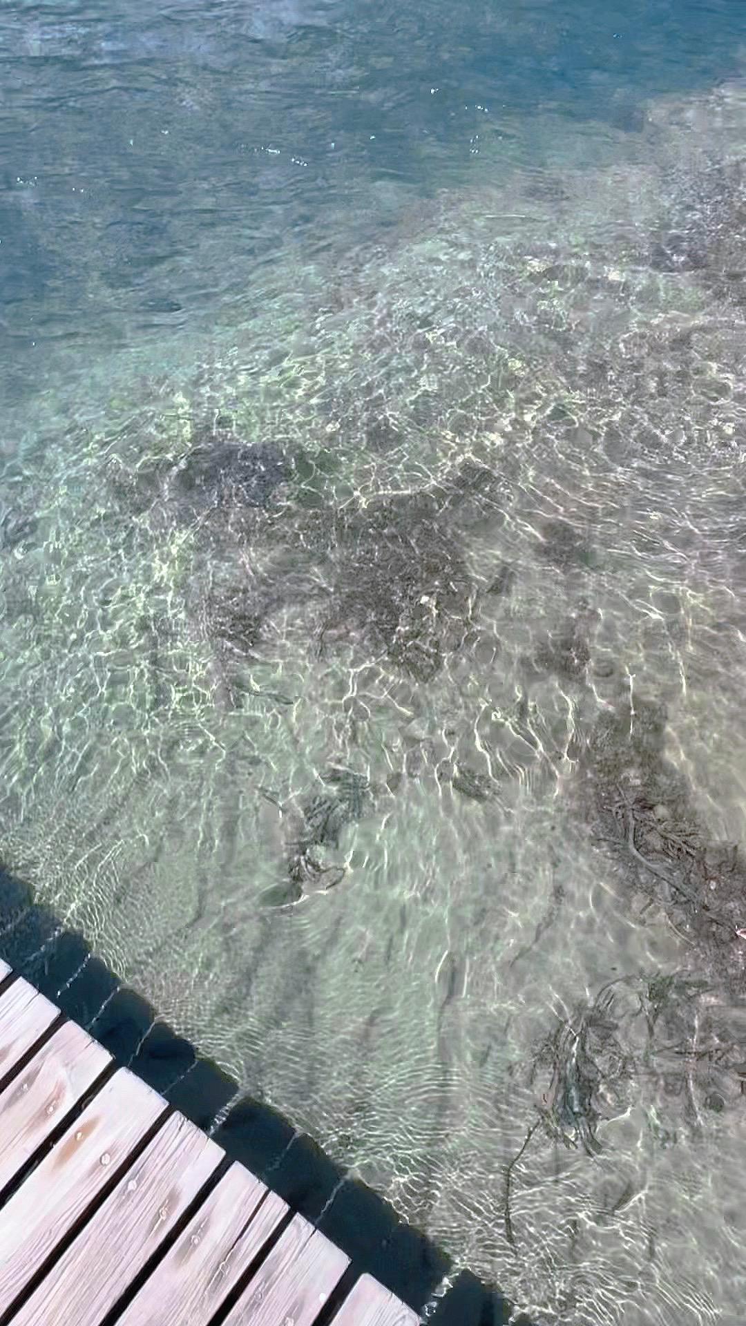 到处借钱的人绝不可深交  千万不要尝试用借钱来获得友谊 因为你试不起 ...