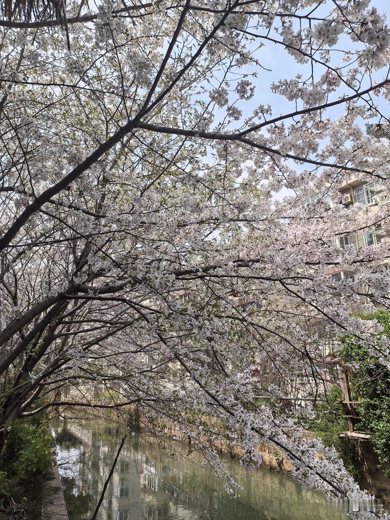 细细思量，人这一生，最重要的无非是四件事，守住了，日子便踏实安稳。

第一，是一