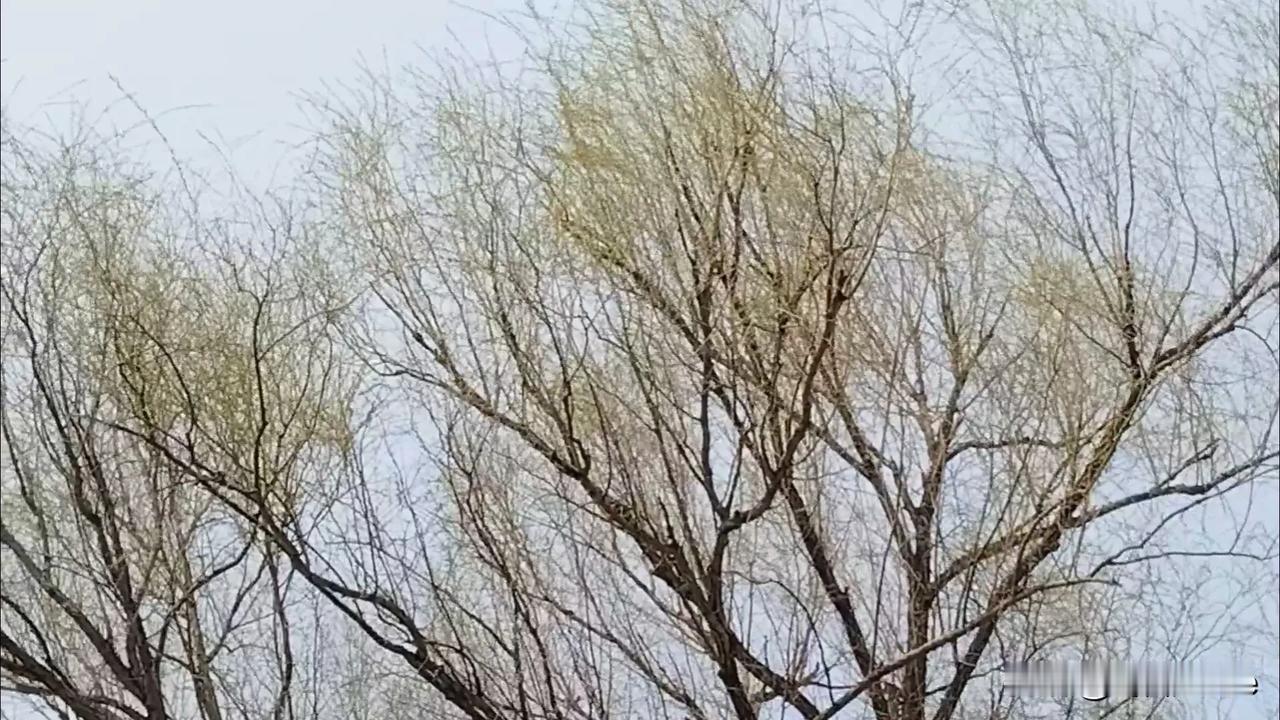 拍一张你的城市美景